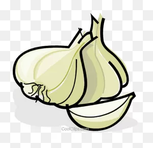 Download Garlic Cloves Royalty Free Vector Clip Art Illustration ClipartFlare.com 