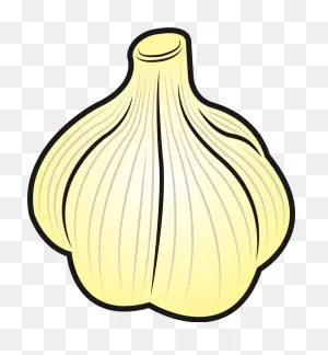 Download Garlic Clipart Png - Clipart Picture Of A Garlic - Full ClipartFlare.com 