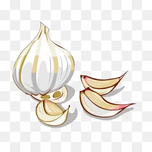 Garlic Png, PNG-WebP Clip Art For Web - Download Clip Art, Png Icon Arts