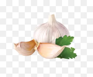 Garlic Png
