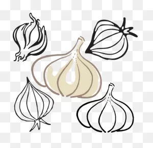 Garlic Clipart - Full Size Clipart (#5207553) - ClipartFlare