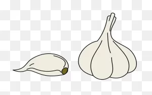 Illustration Garlic Vegetables - Free Vector Graphic On ClipartFlare
