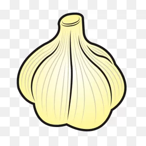 Publicdomainq Garlic | Free PNG-WebP