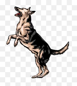 German Shepherd Png