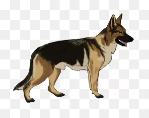 Transparent Funny Dog Png - German Shepherd Dog Clipart - Full ClipartFlare.com 