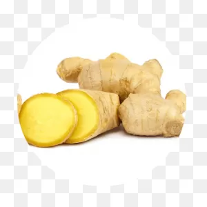 Ginger Root Essential Oil