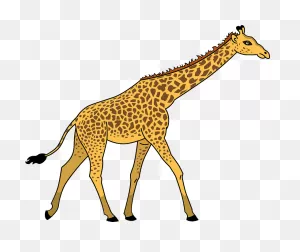 Giraffe Clip Art (118811) Free PNG-WebP Download / 4 Vector