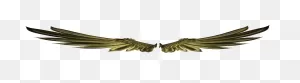 Download Photoshop Clipart Wings - Wing Gold Logo Png Png Image ClipartFlare.com 