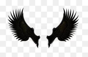 Download Hd Free Png Download Black Gold Wings Clipart Png Photo ClipartFlare.com 