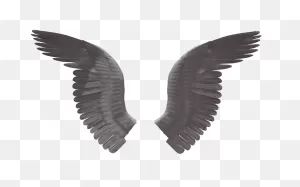 Free Gold Angel Wings Png, Download Free Gold Angel Wings Png Png ClipartFlare.com 