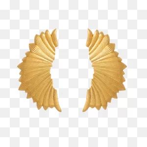Goldplated Wings Earrings | Lavani Jewels | Wolf & Badger