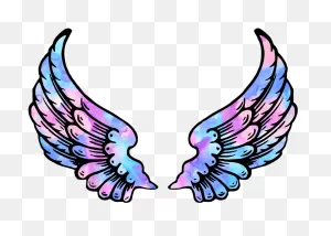 Wings Angel Angelwings Space Galaxy Stars Star Wing - Angels Wings ClipartFlare.com 