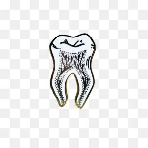 Tooth Enamel Pin