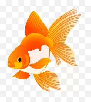 Goldfish Clipart. Free Download Transparent .png | ClipartFlare
