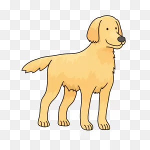 Dog - Golden Retriever | Free PNG-WebP