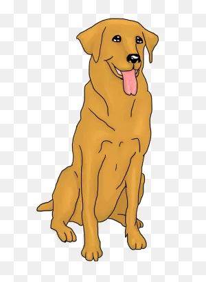 Golden Retriever Clipart. Free Download Transparent .png | ClipartFlare
