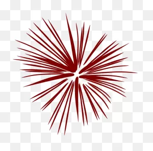 2016 San Pablito Market Fireworks Explosion Animation Clip Art ClipartFlare.com 