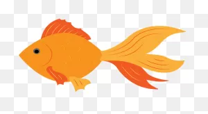 Goldfish Clipart. Free Download Transparent .png | ClipartFlare