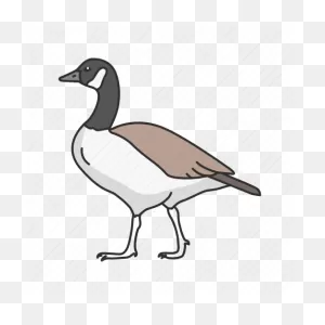 Animal, Beak, Bird, Canada Goose, Feather, Goose, Waterfowl Icon ClipartFlare.com 