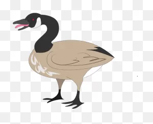 Canada Goose Illustrated For A North By Northwestern Clipart ClipartFlare.com 
