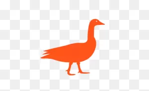 Goose — Go Hunt Idaho