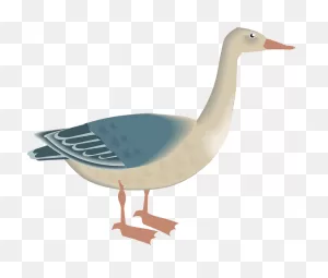 Goose Clipart. Free Download Transparent .png | ClipartFlare