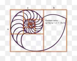 Golden Ratio Clipart - Spiral, Geometry, Text, Transparent Clip Art