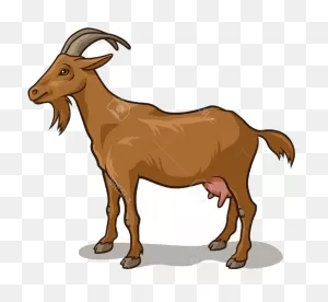 Clipart Goat - Clipart Picture Of A Goat - Png Download - Full ClipartFlare.com 