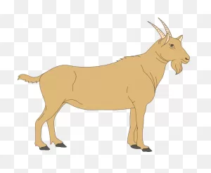 File:goat Cartoon 04.PNG-WebP - Wikipedia, The Free Encyclopedia | Goat ClipartFlare.com 