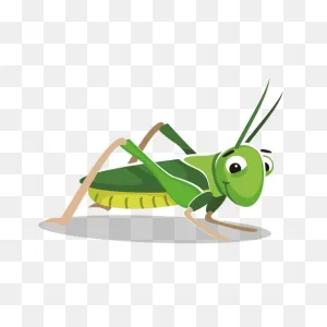 Image Result For Grasshopper | Grasshopper, Cute Cartoon Animals ClipartFlare.com 