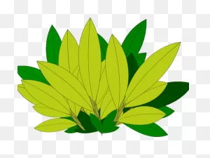 Foliage Clipart Greenery - Blätter Clipart - Png Download - Full ClipartFlare.com 