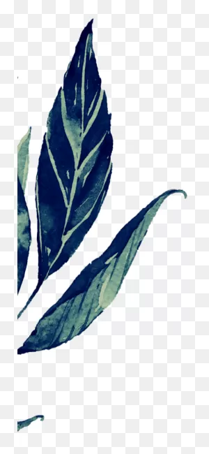 Greenery Market – Greenery Market