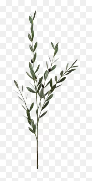Leaves With Fruit Foliage Branch (Set Of 4)