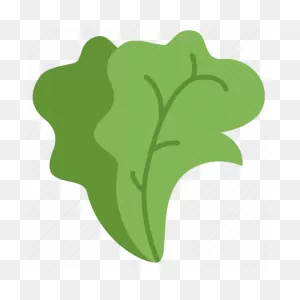 Fruit, Green, Lettuce, Salad, Vegetables Icon - Download On Iconfinder