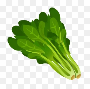 Free Photo Spinach Green Vegetables Fresh Leaves Raw Leafy - Max Pixel