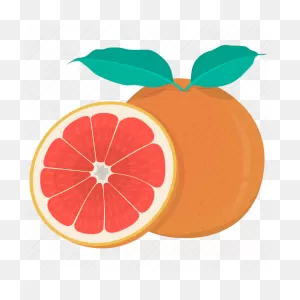 Citrus, Food, Fruit, Grapefruit, Plant, Kitchen, Meal Icon - Download On ClipartFlare.com 