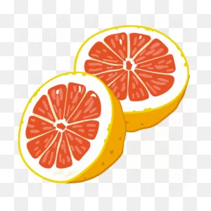 Flavor, Flavored, Fruit, Grapefruit, Grapefruit Juice, Grapefruits, Juice  ClipartFlare.com 
