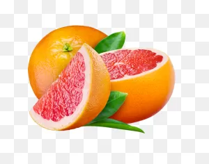 Grapefruit Illustration Png | Picpng