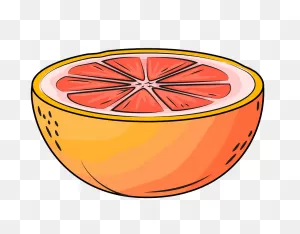 Half Grapefruit Clipart. Free Download Transparent .png | ClipartFlare