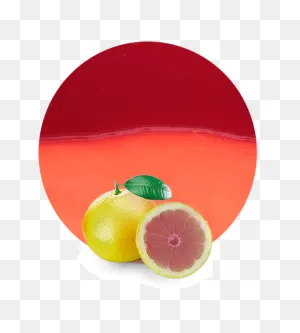 Pink Grapefruit Concentrate - Suppliers From Spain | ClipartFlare
