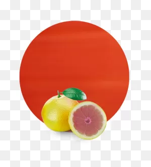 Pink Grapefruit Concentrate - Suppliers From Spain | ClipartFlare