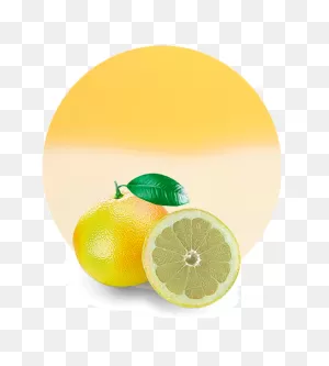 White Grapefruit Concentrate - Manufacturer & Supplier