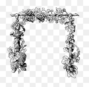 Free Clipart: Grape Vine | Johnny_Automatic