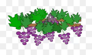 Grape Vines Clip Art Image - Clipsafari