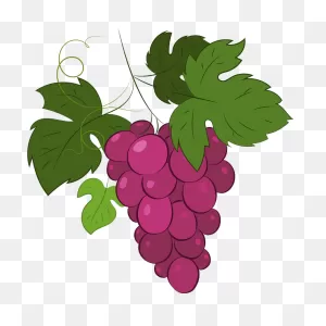 Grape Clipart. Free Download Transparent .png | ClipartFlare
