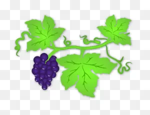 Grape Vine Clip Art At ClipartFlare ClipartFlare.com - Vector Clip Art Online, Royalty ClipartFlare.com 