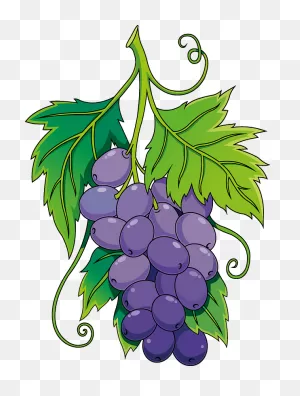 Grape Clipart. Free Download Transparent .png | ClipartFlare