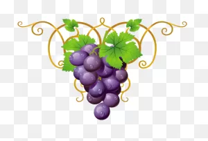 Holiday Decorations - Transparent Clipart Grape Vine Png - Full ClipartFlare.com 