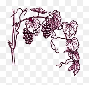 Maroon Grape Vine Clip Art At ClipartFlare ClipartFlare.com - Vector Clip Art Online ClipartFlare.com 