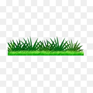 Border, Grass, Greens, Jungle Plants